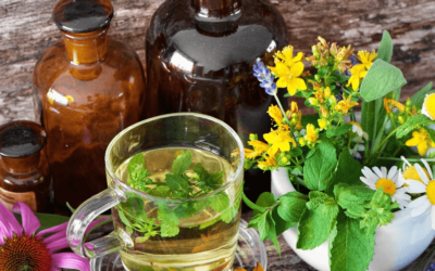 Phytothérapie naturelle à Belair : des solutions à base de plantes !