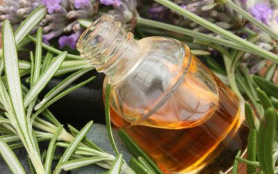 Préparations pour soulager les piqûres à Belair : soignons la douleur !